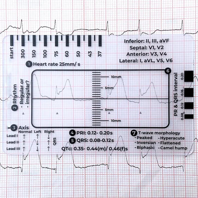 🔥LAST DAY 50% OFF - 🎁ECG 7 Step Ruler