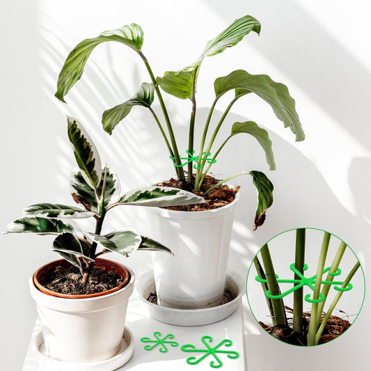 Plant Stem Supports for Supporting Plant Growth