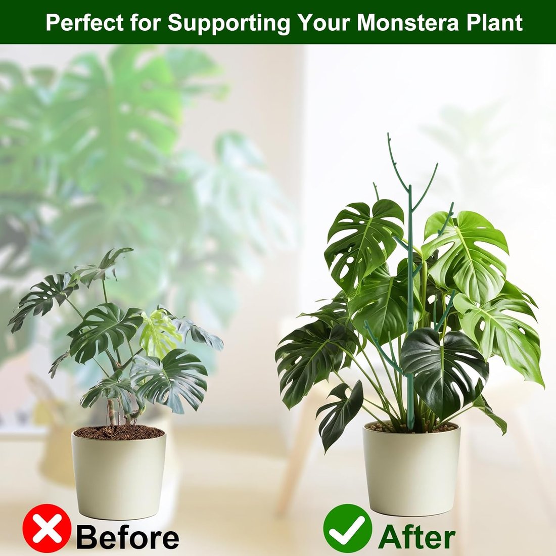 Plant Support Stakes