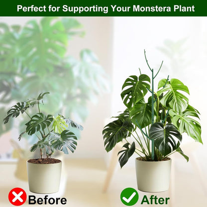 Plant Support Stakes