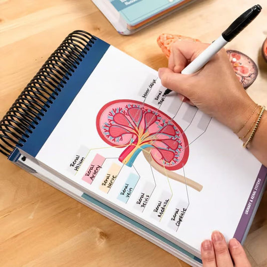 📘Anatomy Label Workbook – Master Human Anatomy with Ease