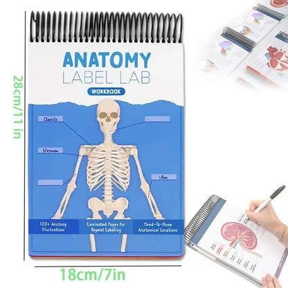 📘Anatomy Label Workbook – Master Human Anatomy with Ease
