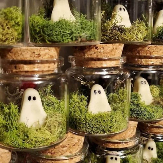 LAST DAY 49% OFF🔥Pet Ghost in Bottle