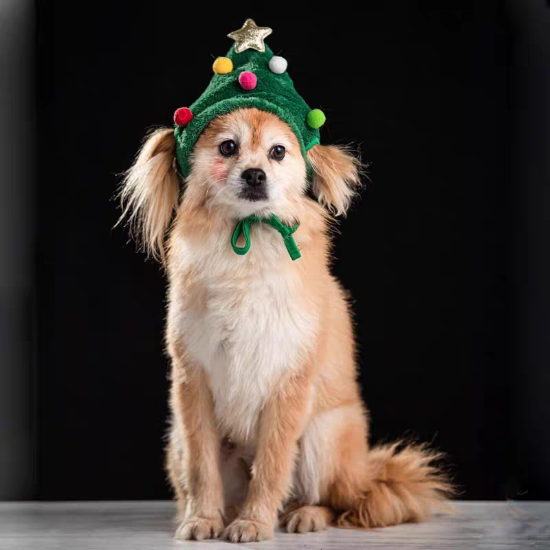 Cute Christmas-themed Warm Cat & Dog Outfits
