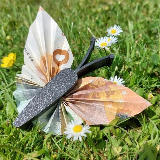 The Butterfly Money Holder🦋💸
