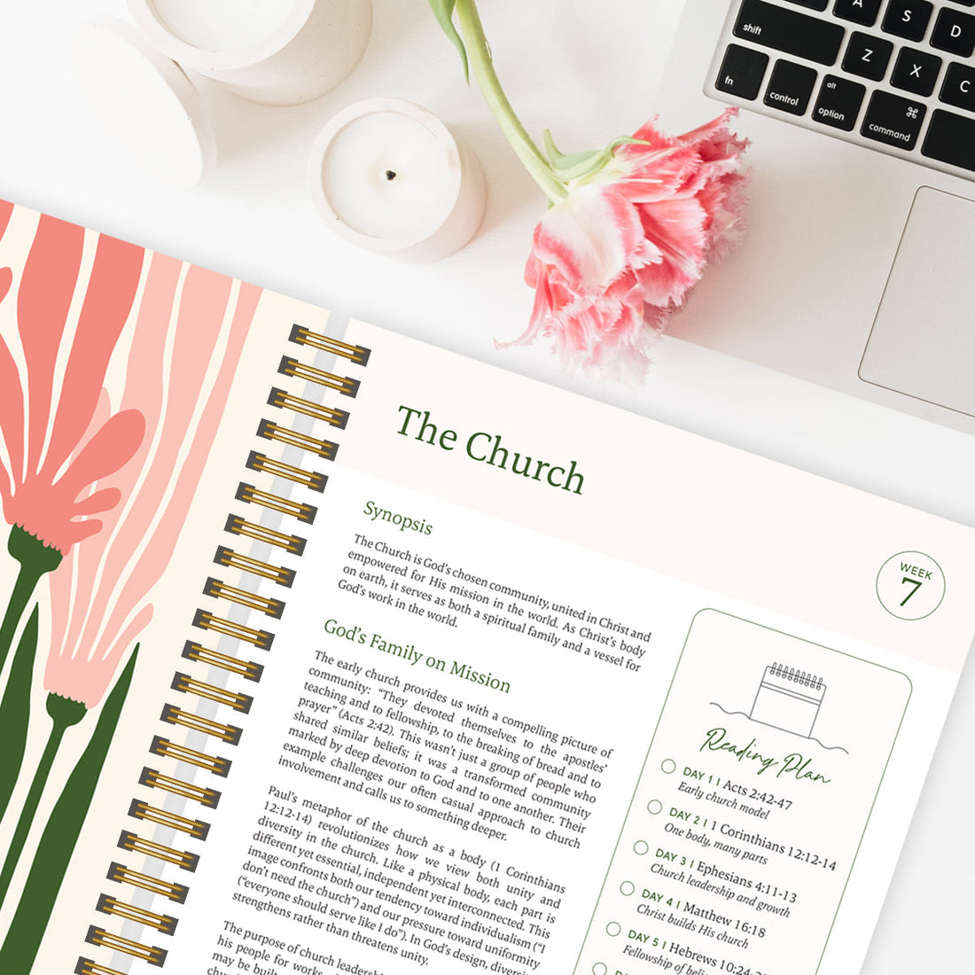 The Study the Bible for 1 year - 52 Week BibleJournal