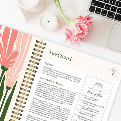 The Study the Bible for 1 year - 52 Week BibleJournal