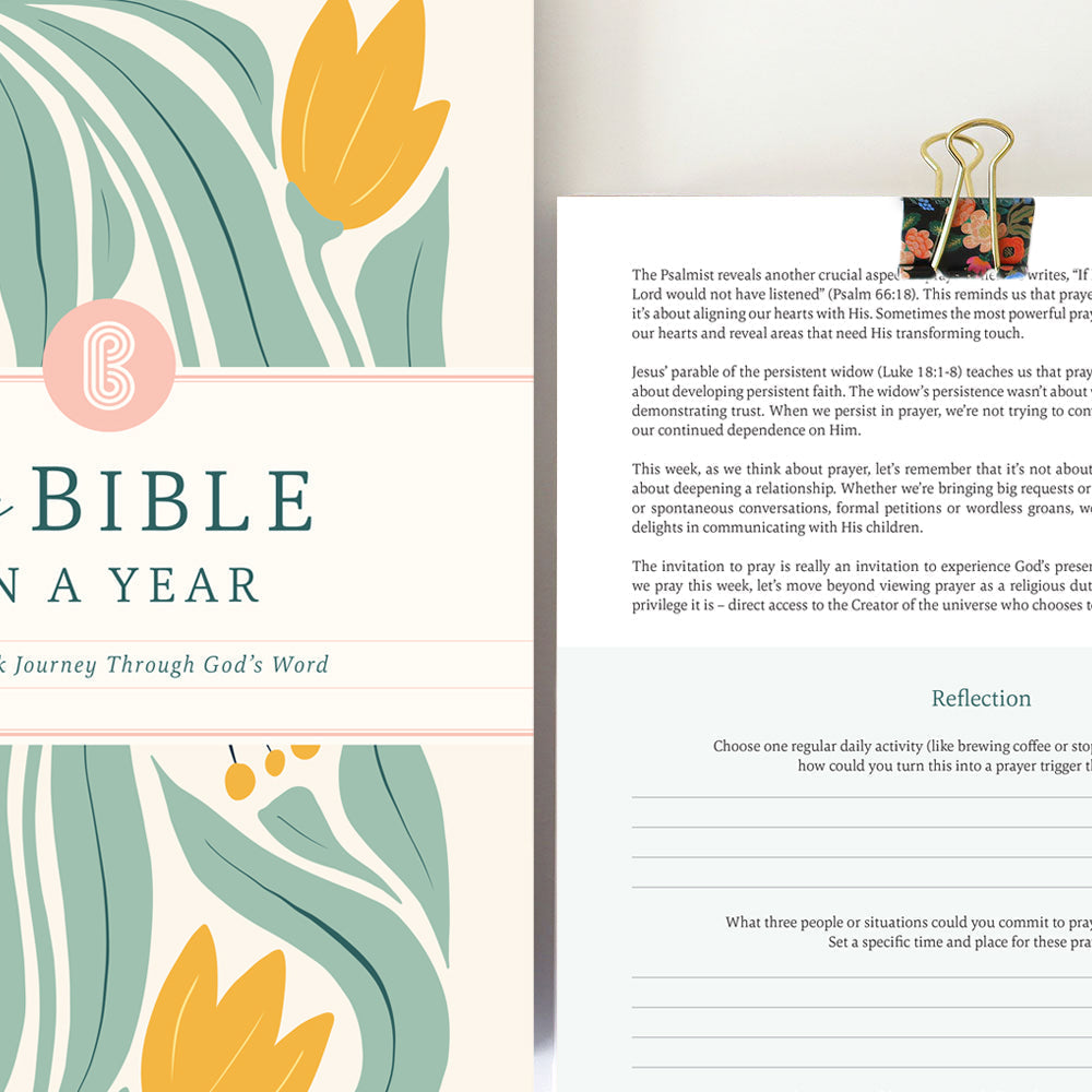 The Study the Bible for 1 year - 52 Week BibleJournal