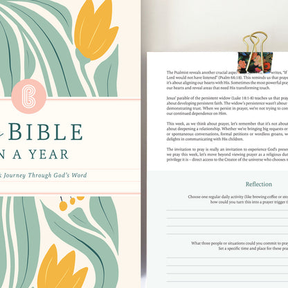 The Study the Bible for 1 year - 52 Week BibleJournal