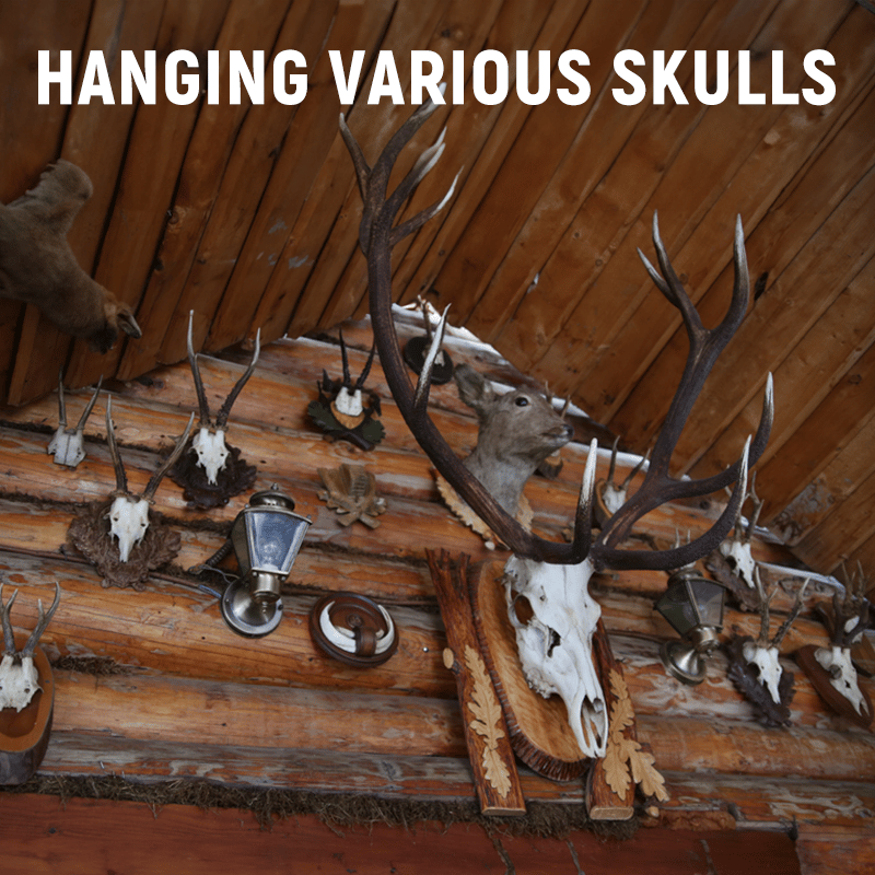 4''/10CM Antler-Style Wall-Mounted Rack