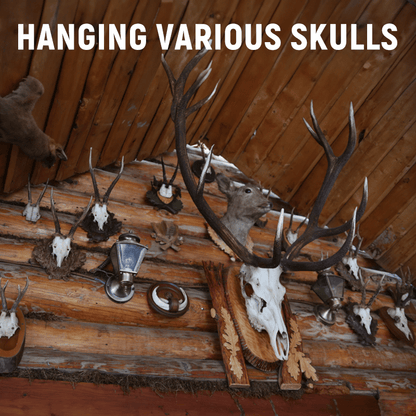 4''/10CM Antler-Style Wall-Mounted Rack
