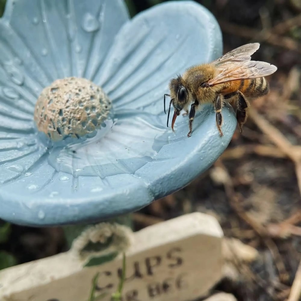 🐝Flower-Shaped Bee Watering Station💧
