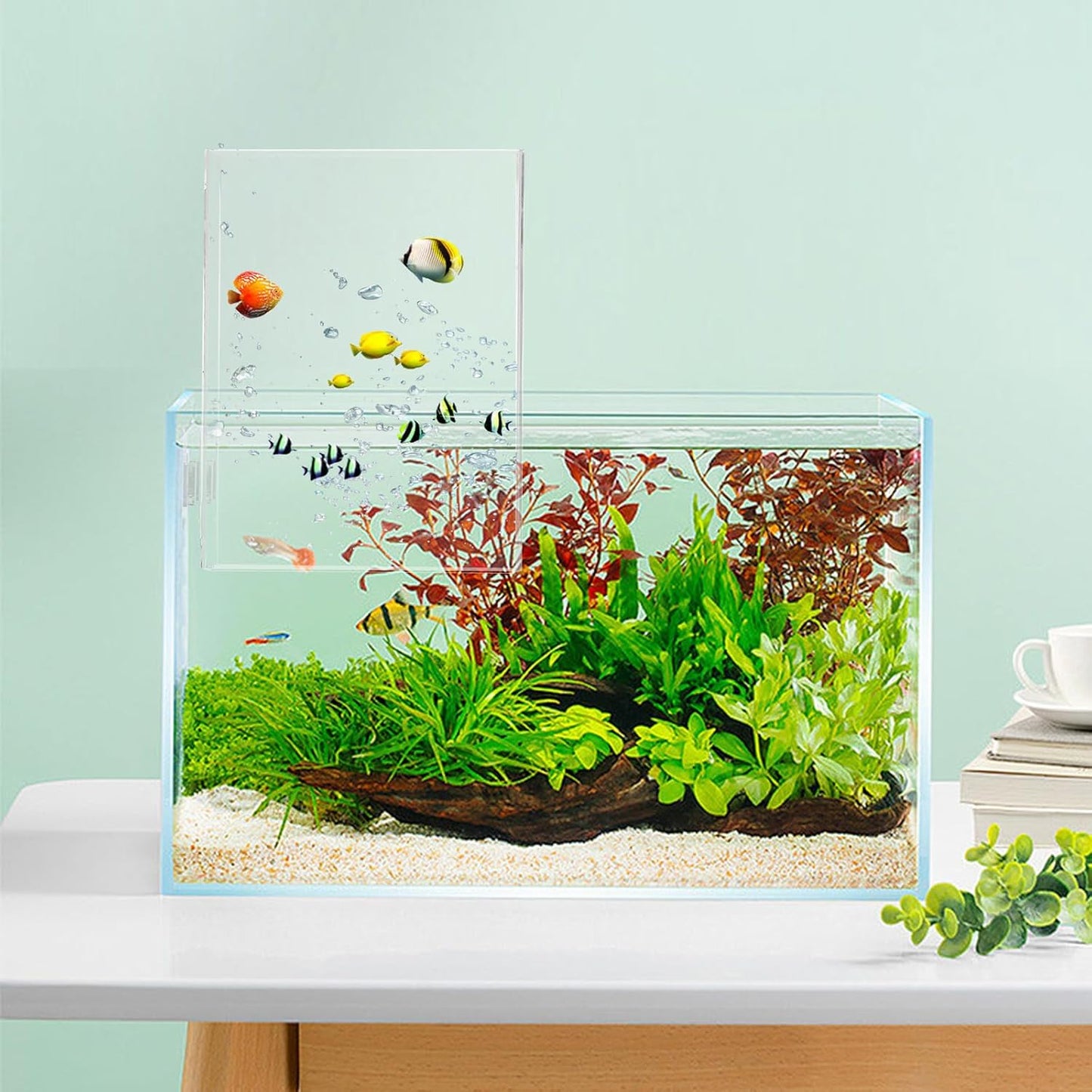 Negative Pressure Aquarium Fish Tank