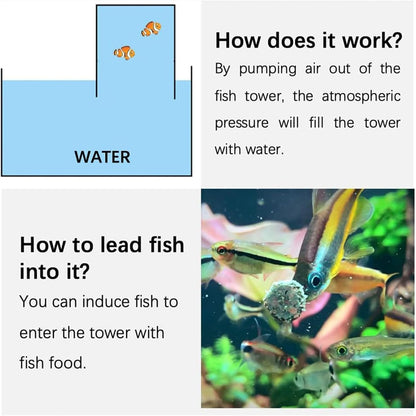 Negative Pressure Aquarium Fish Tank