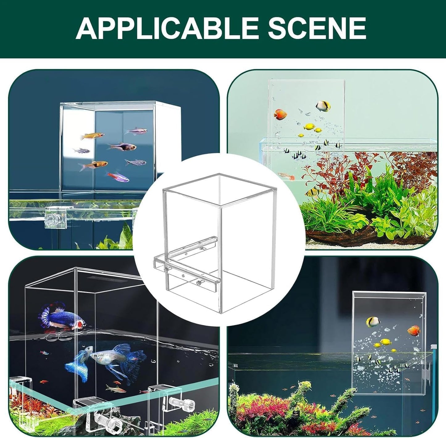 Negative Pressure Aquarium Fish Tank