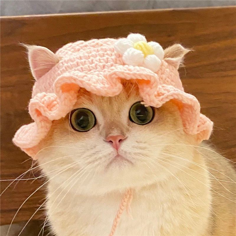 Crochet Cat Hat & Cute, Soft