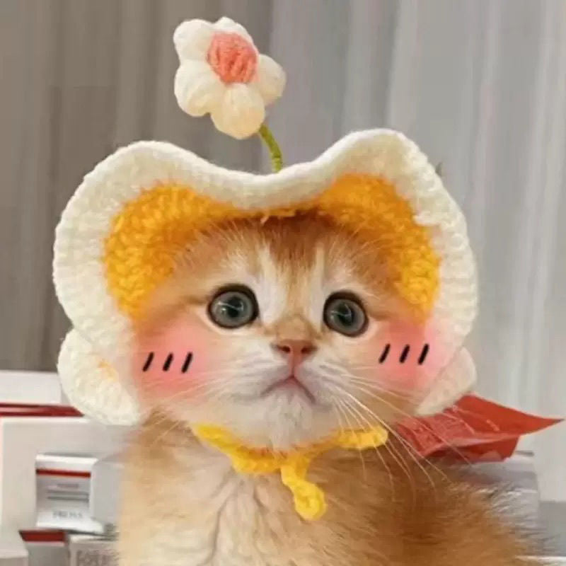 Crochet Cat Hat & Cute, Soft