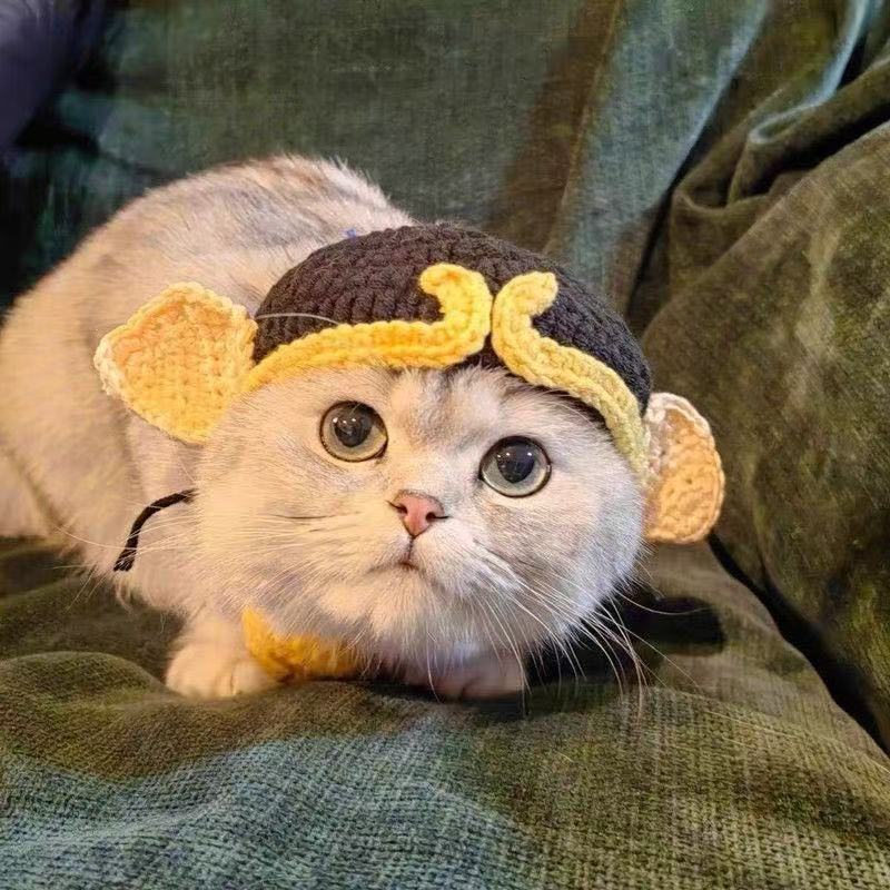 Crochet Cat Hat & Cute, Soft
