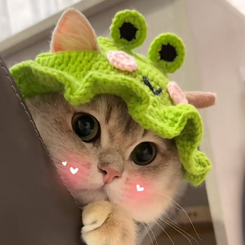 Crochet Cat Hat & Cute, Soft