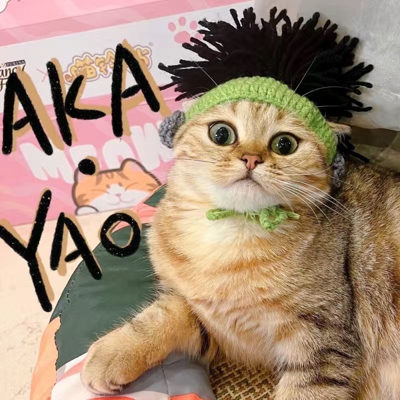 Crochet Cat Hat & Cute, Soft