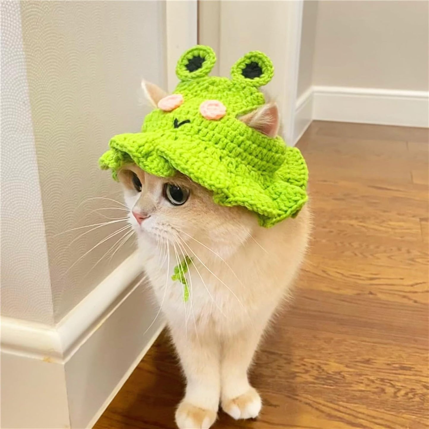 Crochet Cat Hat & Cute, Soft