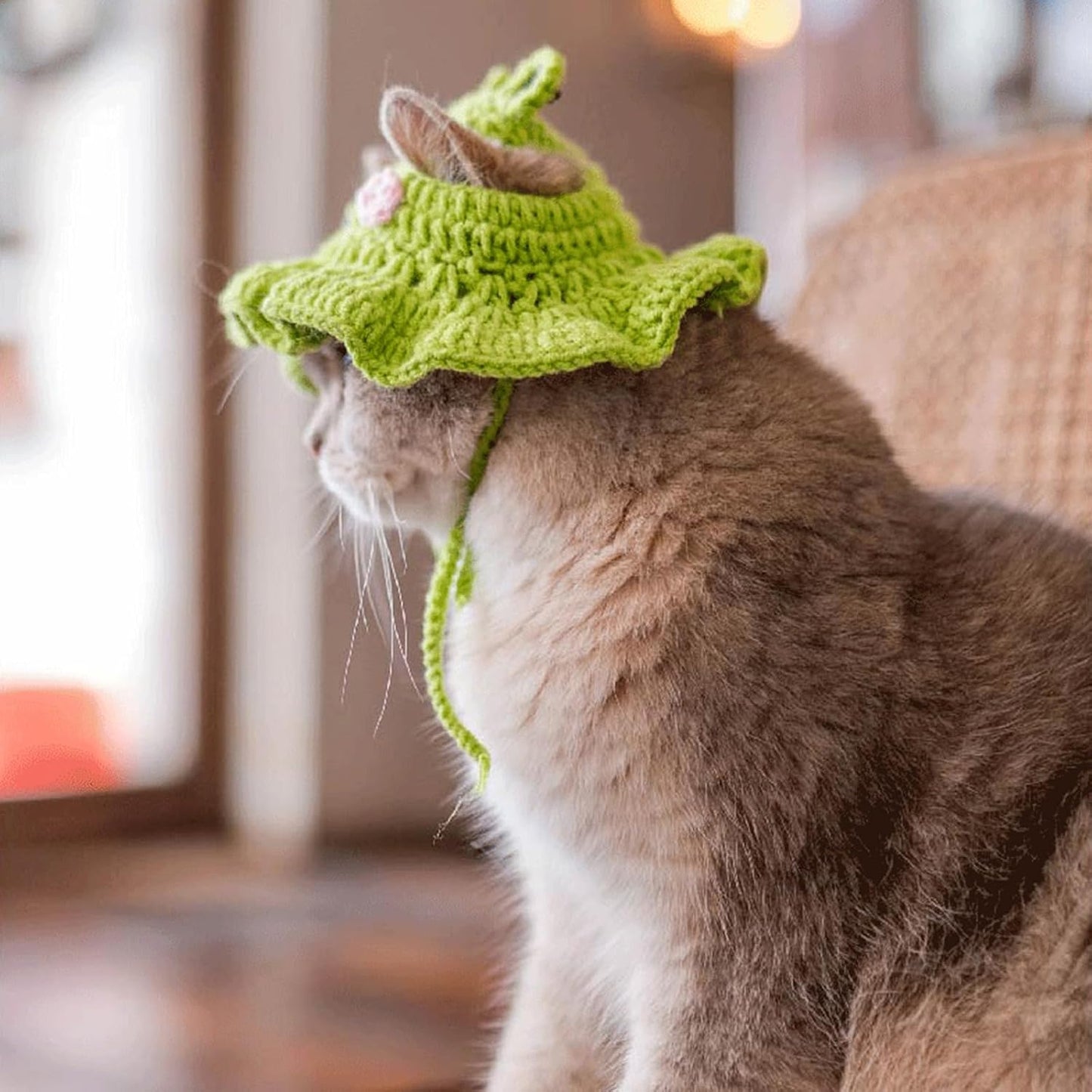 Crochet Cat Hat & Cute, Soft