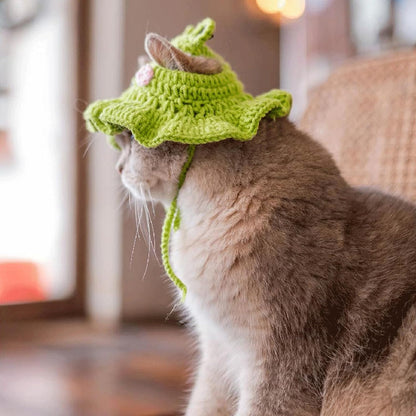 Crochet Cat Hat & Cute, Soft