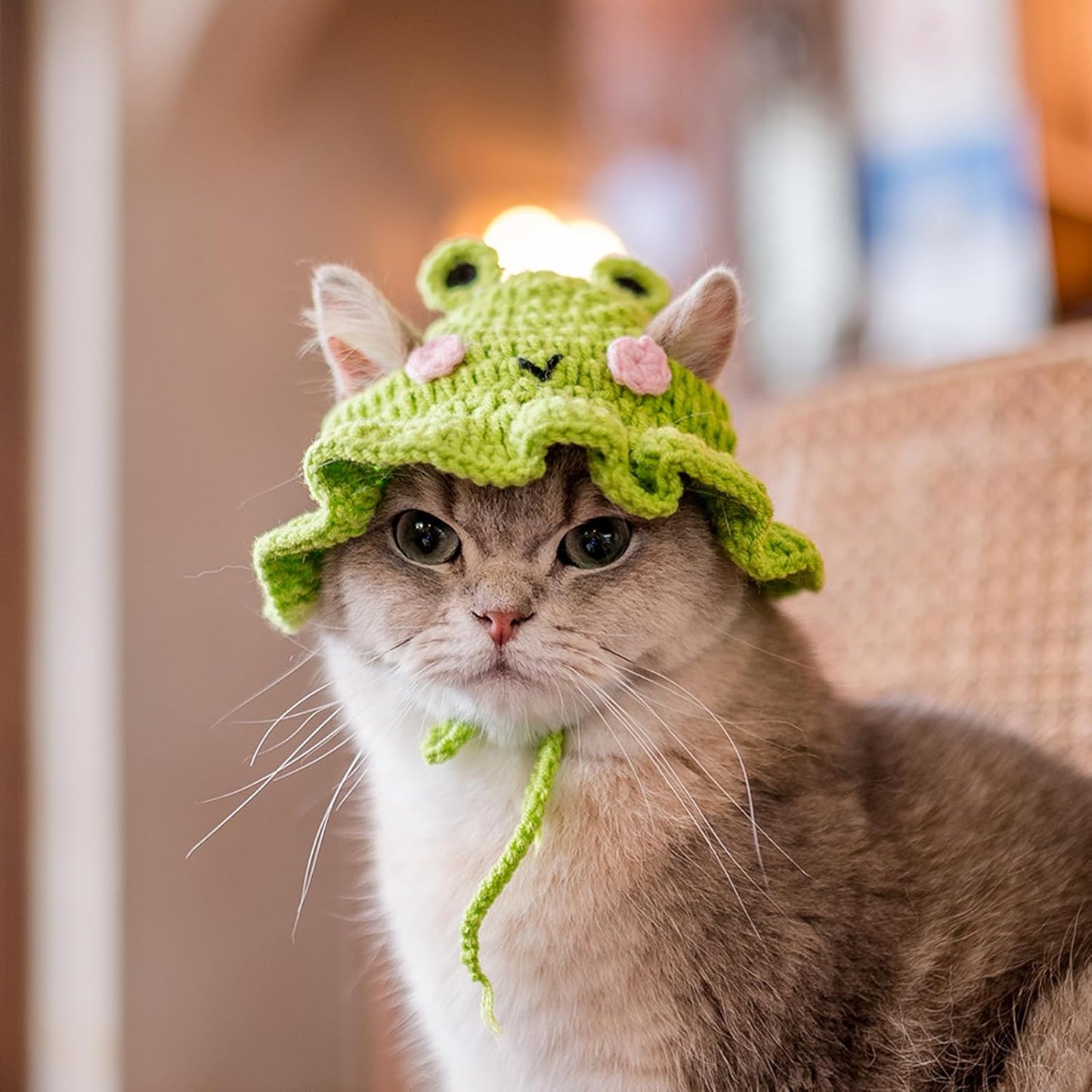 Crochet Cat Hat & Cute, Soft
