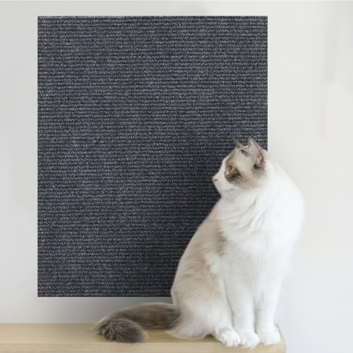 Cat Scratching Mat Self-Adhesive Trimmable Cat Carpet